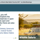 African tourism boards are ignoring the lucrative market in the black diaspora